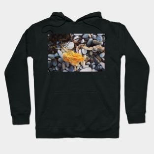 Flotsam Hoodie